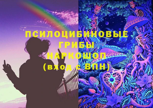 сатива Мегион