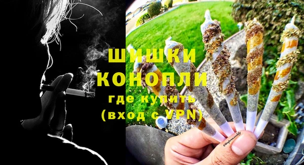 сатива Мегион