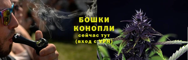 сатива Мегион